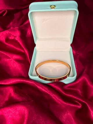 Pulsera Cartier Plata con Destornillador