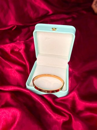 Pulsera Cartier Plata con Destornillador