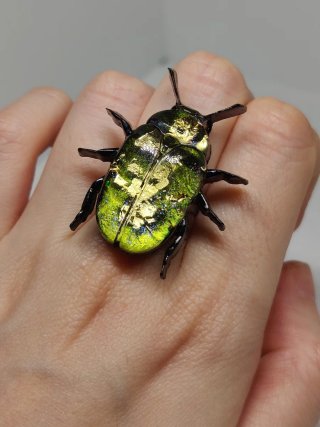 Anillo Escarabajo Holográfico