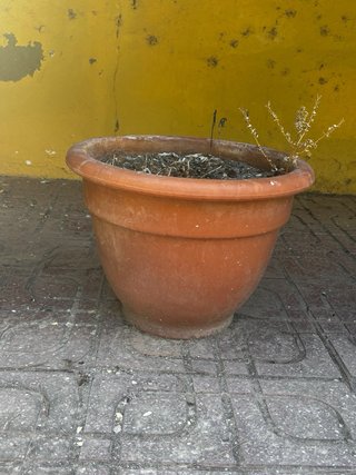 Juego 3 macetas terracota