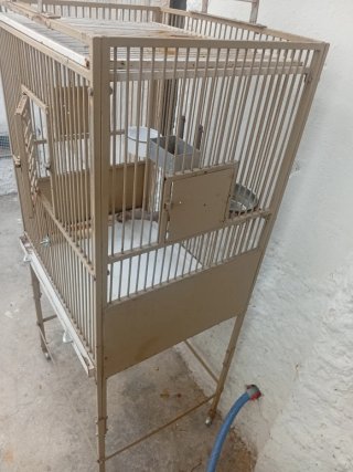 Jaula grande para pájaros y loros