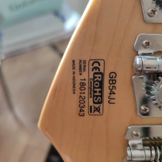 Bajo Cort GB54 JJ con Estuche Fender