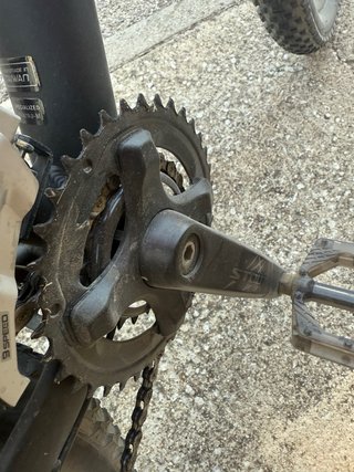 Specialized Rockhopper 29
