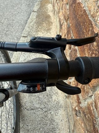 Specialized Rockhopper 29