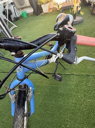 Bicicleta infantil JL-WENTI Vereda