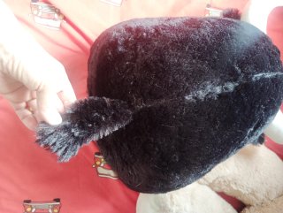 Peluche Torito Negro con ojos azules