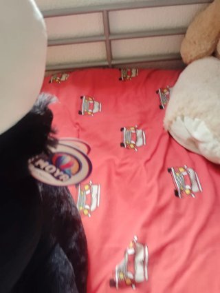 Peluche Torito Negro con ojos azules