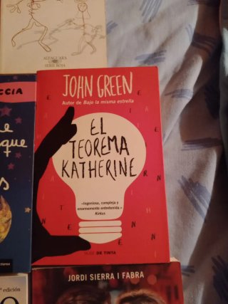 Lote de libros juveniles.