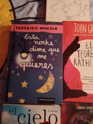 Lote de libros juveniles.