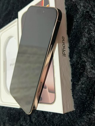 iPhone 16 Pro Max 256 GB Dorado