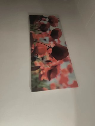 Cuadro Decorativo Flores Rojas mi de 1.40 x 57