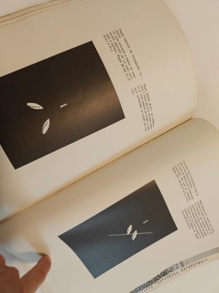 Manual Windsurf 1978
