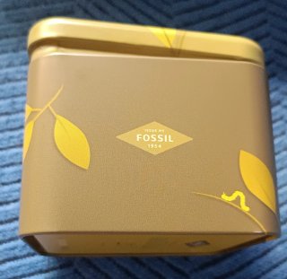 Caja Fossil
