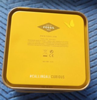 Caja Fossil