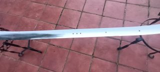 Lámina Parachoques Delantero Citroën 11 Ligero