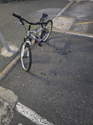 Bicicleta Morada Niña