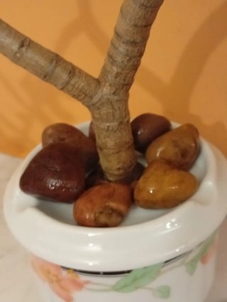 Bonsái Jade en porcelana Santa Clara (Vintage)