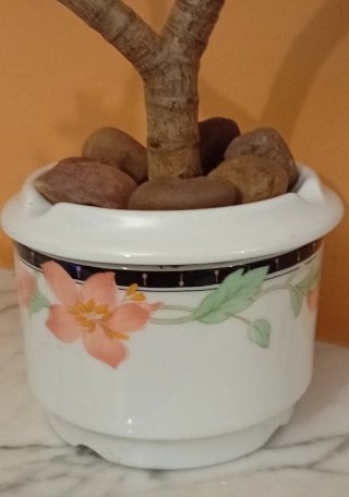 Bonsái Jade en porcelana Santa Clara (Vintage)