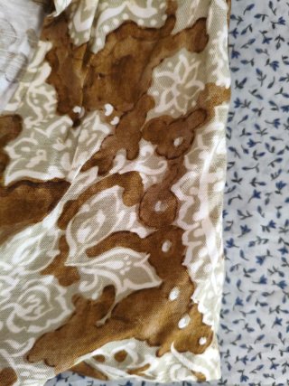 Camisa retro manga corta con nudo