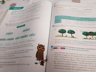 Lengua Castellana y Literatura. 4 Prim. Revuela