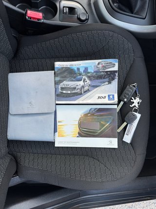 Peugeot 308 2010