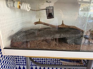 Terrario grande para reptiles