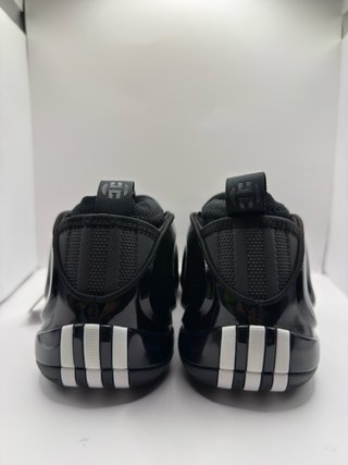 Zapatillas de Baloncesto