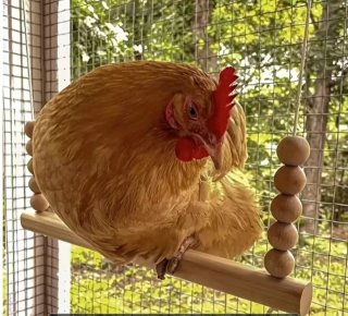 Columpio de Madera Natural Hecho a Mano