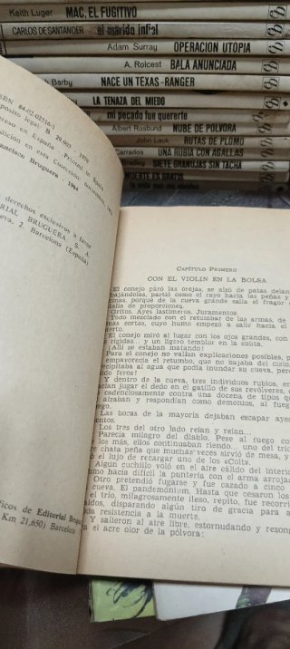 Lote 73 novelas bolsilibros