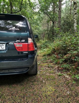 BMW X5 M 2003