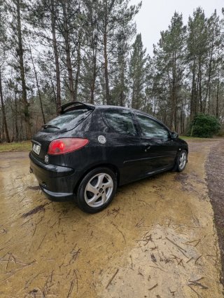 Peugeot 206 2004