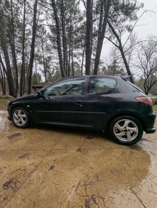 Peugeot 206 2004