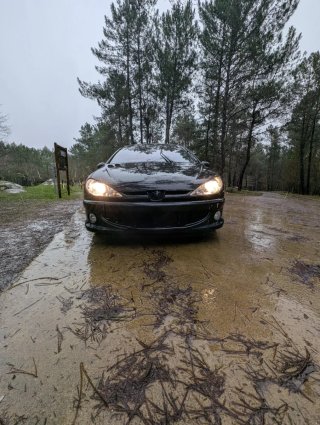 Peugeot 206 2004