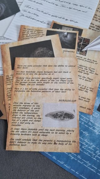 Resident Evil 4 Dossier Files di Gioco