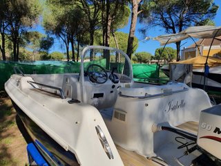 Quicksilver Commander 500 Mariner 60CV