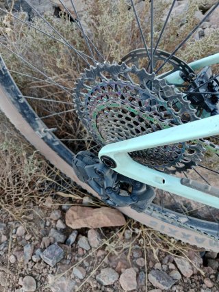 Orbea Alma XX1 AXS
