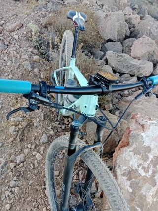 Orbea Alma XX1 AXS