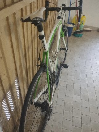 Bicicleta Carretera Dedacciai Assoluto