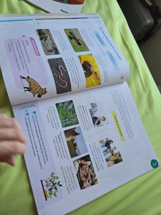 Conocimiento del medio 3 Primaria : Proyecto Co...