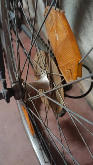Bicicleta Scott Timber Mujer