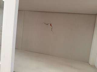 Librería de madera y cristal