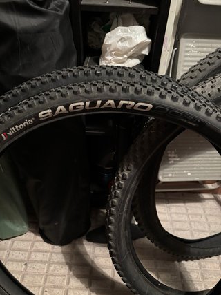 Cubiertas Vittoria MTB