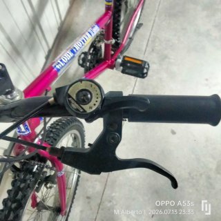 Bicicleta de Montaña Morada