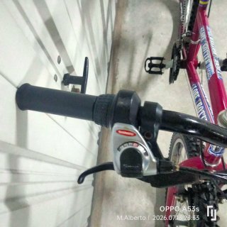 Bicicleta de Montaña Morada