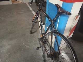 Bicicleta de carreras Focus profesional