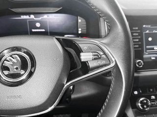 Skoda Kodiaq 2.0 TDI 110KW (150cv) DSG 4x4 Style