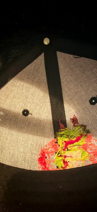 Gorra bordada dragón verde