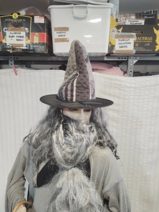 Disfraz Gandalf Señor de los Anillos
