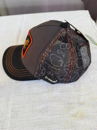 Gorra Capslab Scooby-Doo