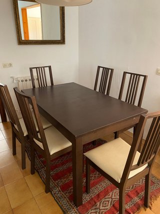 Tavolo da pranzo estensibile Alhult Ikea